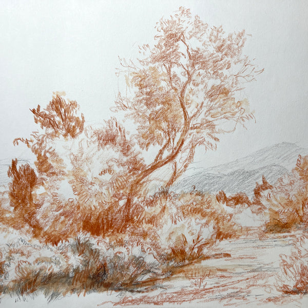 Landscape Drawing
