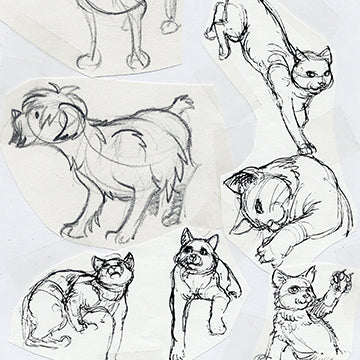 Animal Drawing Part 1